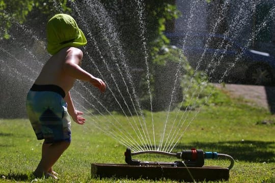 Rasensprenger verbrauchten bis zu 800 Liter Wasser in der Stunde. Rasensprenger verbrauchten bis zu 800 Liter Wasser in der Stunde.