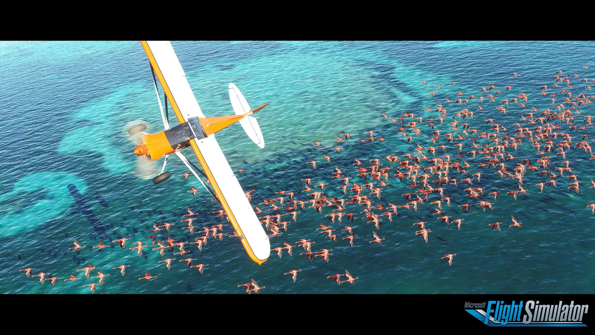 Flugsimulator Flugsimulator