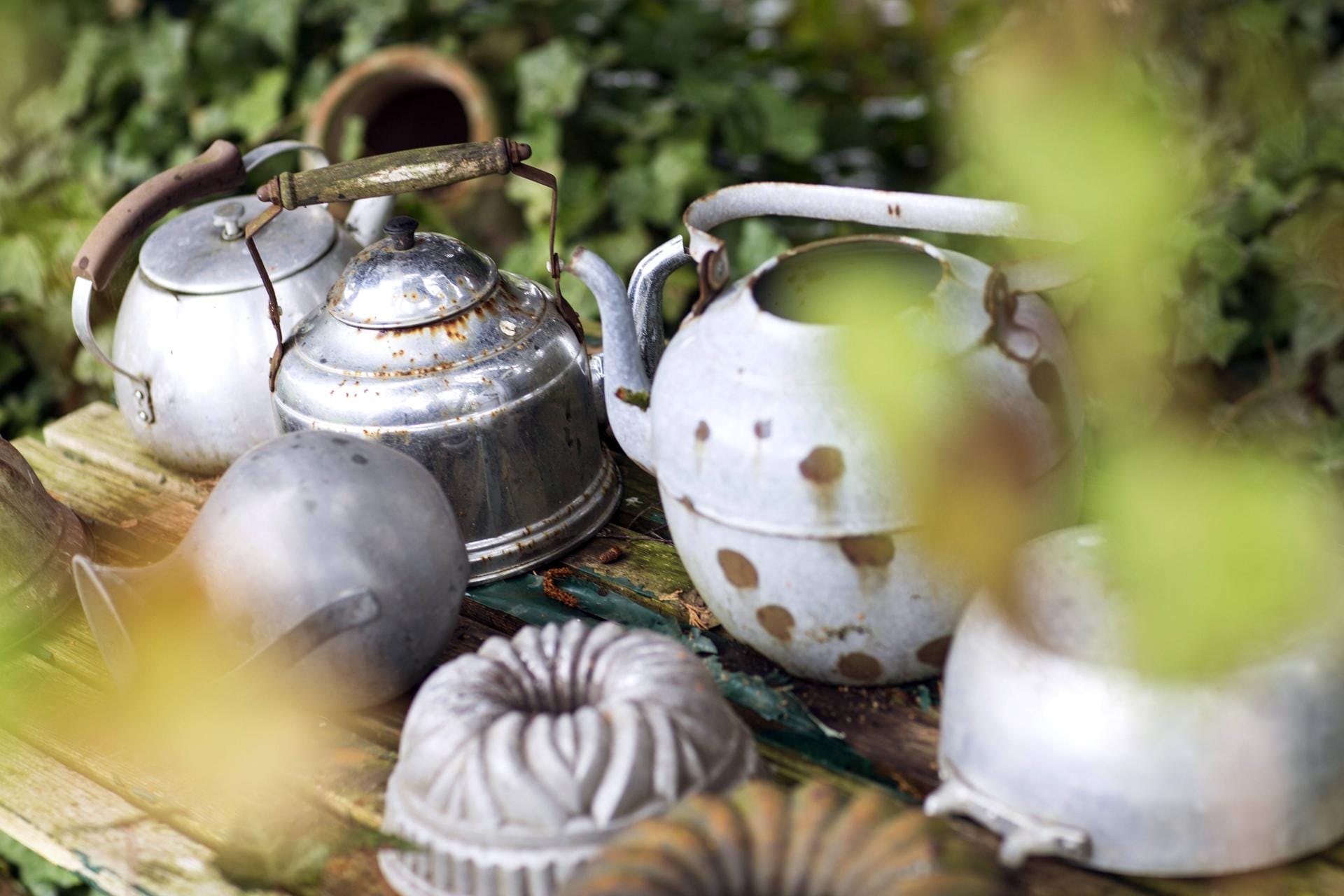 Küchenutensilien: Alte Wasserkessel und Kuchenformen erleben ein Revival als Garten-Deko zwischen Blumen und Pflanzen. Küchenutensilien: Alte Wasserkessel und Kuchenformen erleben ein Revival als Garten-Deko zwischen Blumen und Pflanzen.