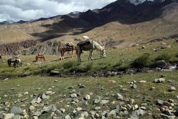 Beliebt bei Radfahren und Trekkern, die Hochgebirgsregion Ladakh. Beliebt bei Radfahren und Trekkern, die Hochgebirgsregion Ladakh.
