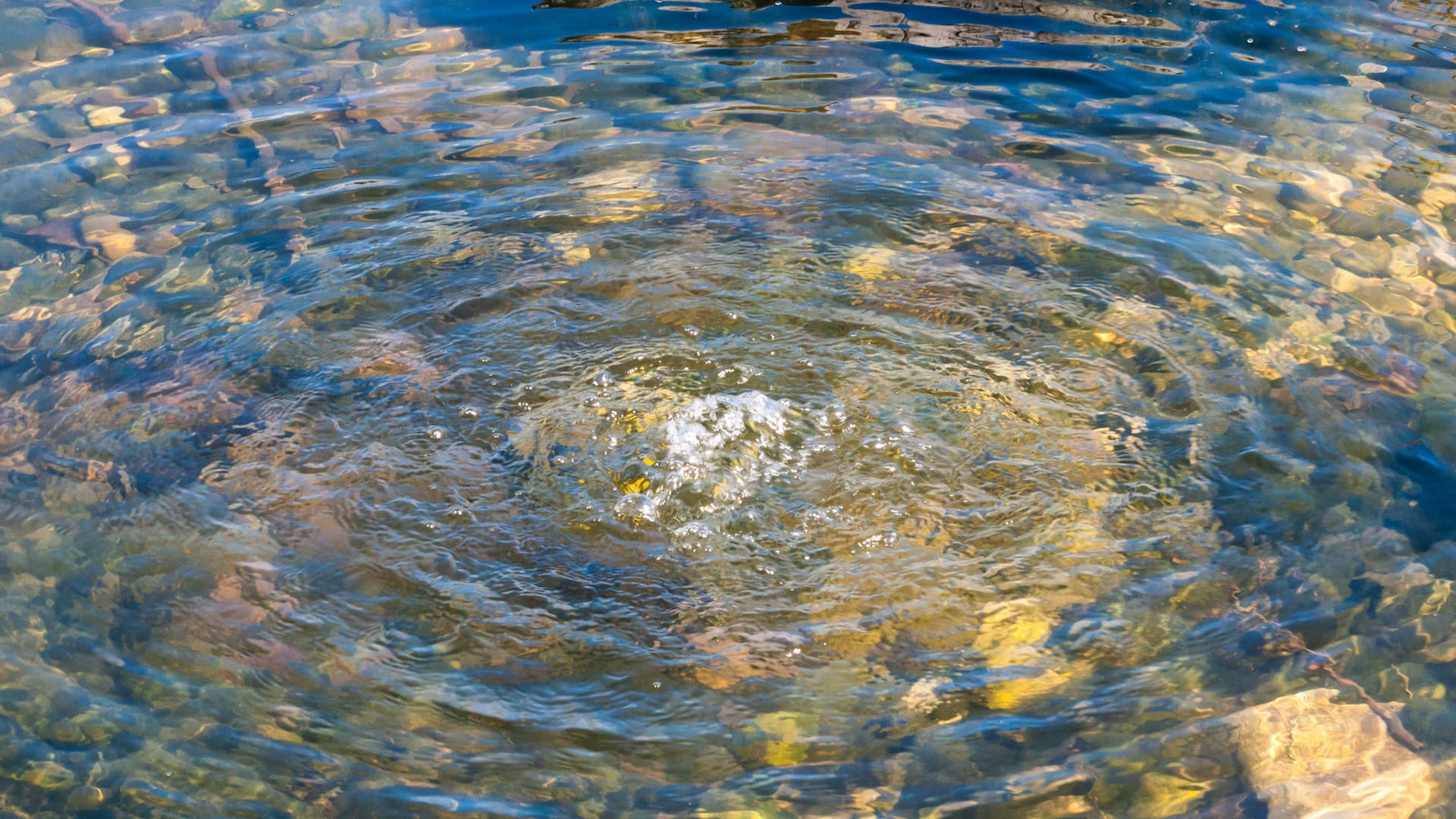Wasserblasen im Gartenteich Wasserblasen im Gartenteich