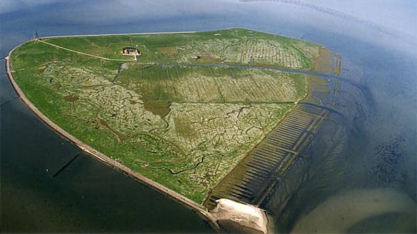 Die Hallig Süderoog ist besonders bei Brautpaaren beliebt.