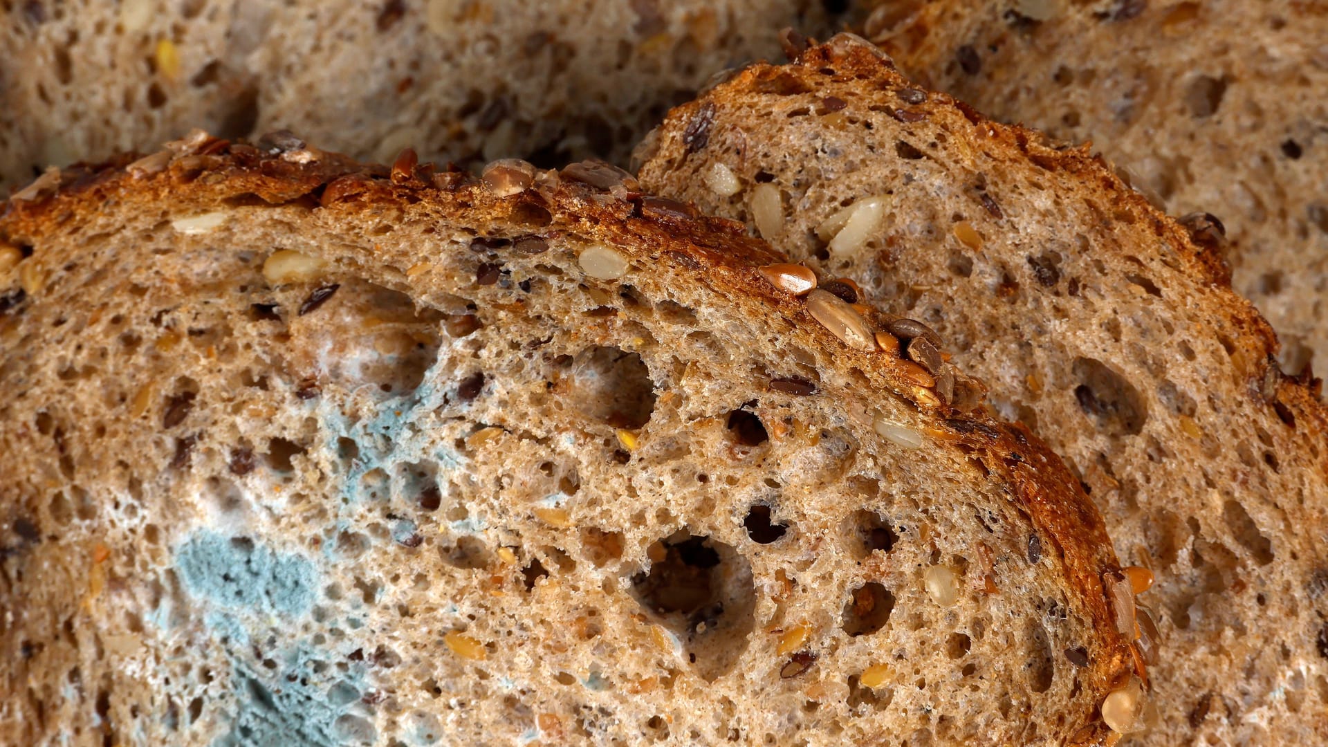 Schimmel: Zeigt sich Schimmel auf Brot, sollten Sie den Laib lieber entsorgen. Schimmel: Zeigt sich Schimmel auf Brot, sollten Sie den Laib lieber entsorgen.