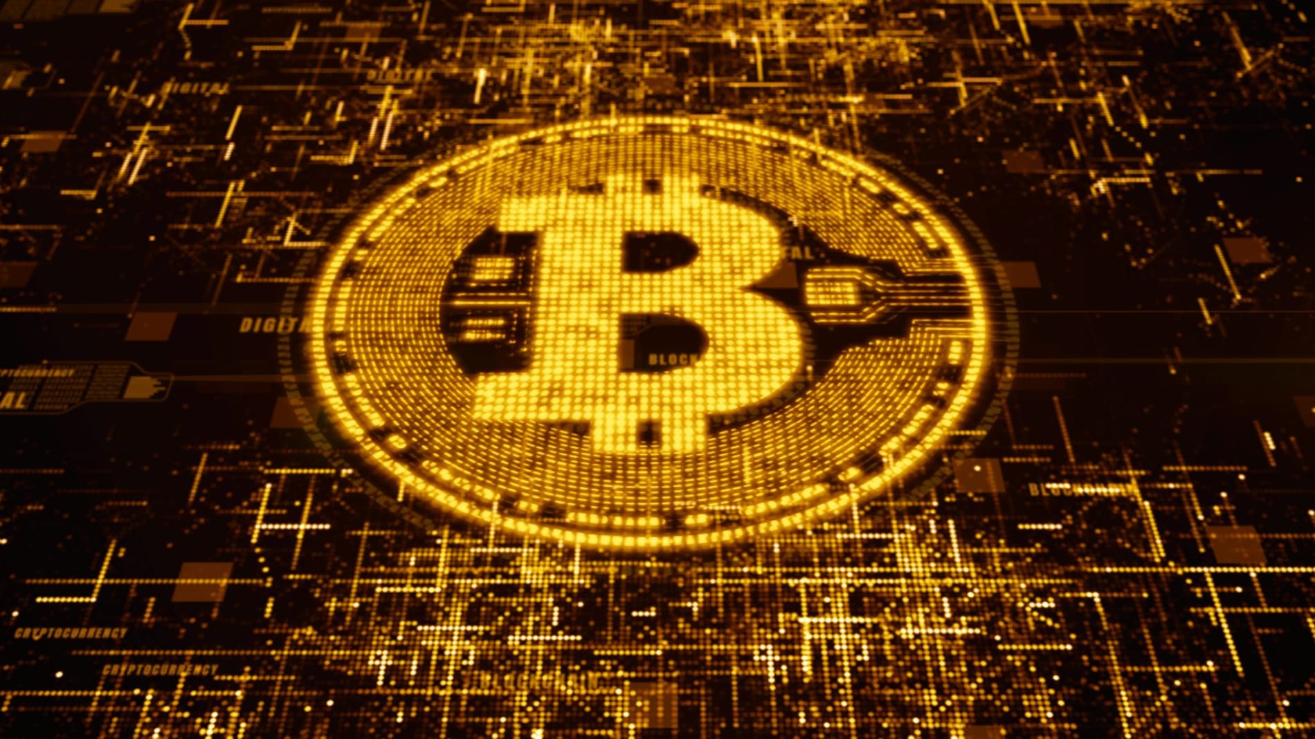 Kryptowährung Bitcoin Kryptowährung Bitcoin