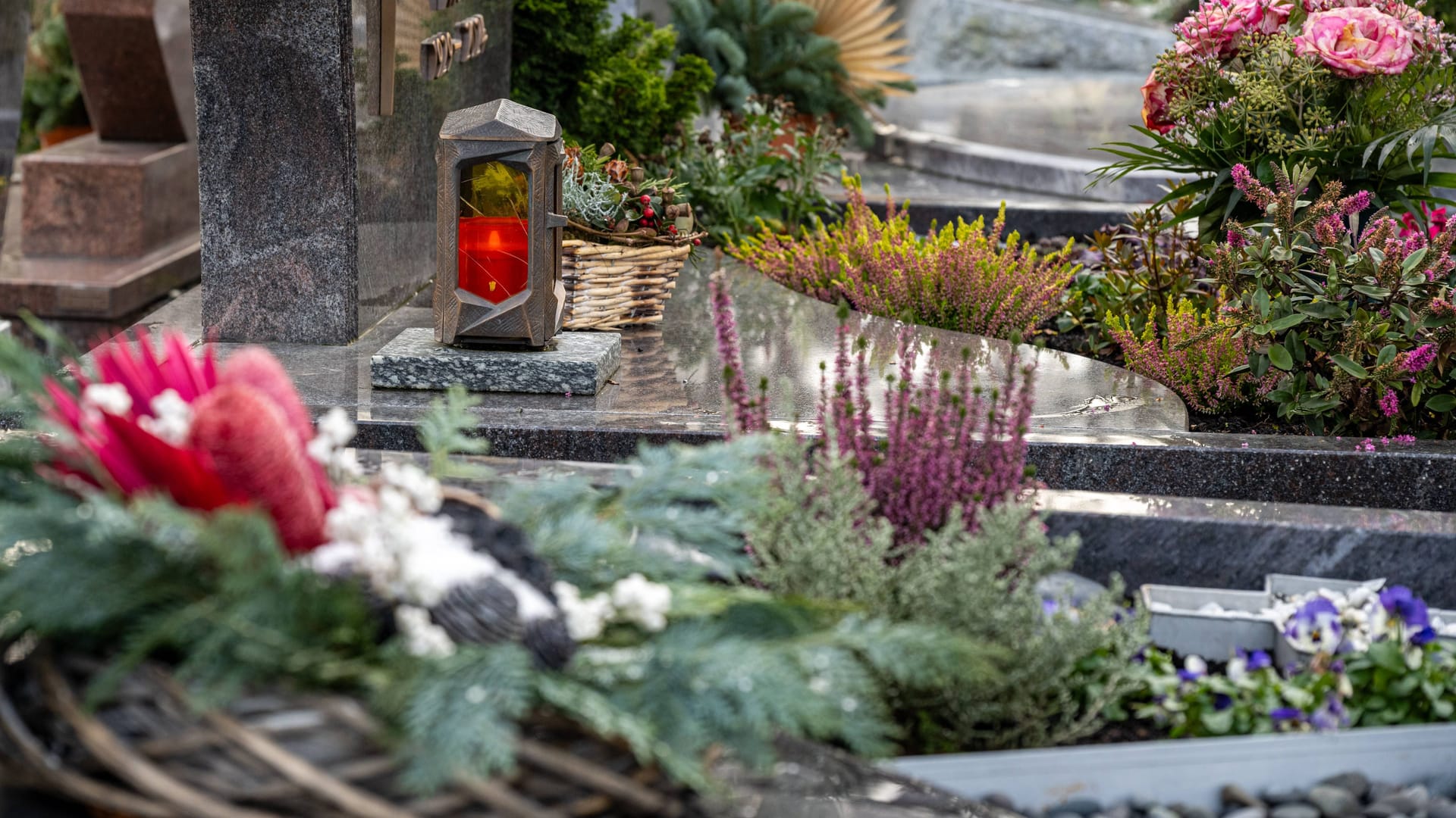 Ein Friedhof (Archivbild): Im Land nimmt die Zahl der Körperspenden zu. Ein Friedhof (Archivbild): Im Land nimmt die Zahl der Körperspenden zu.