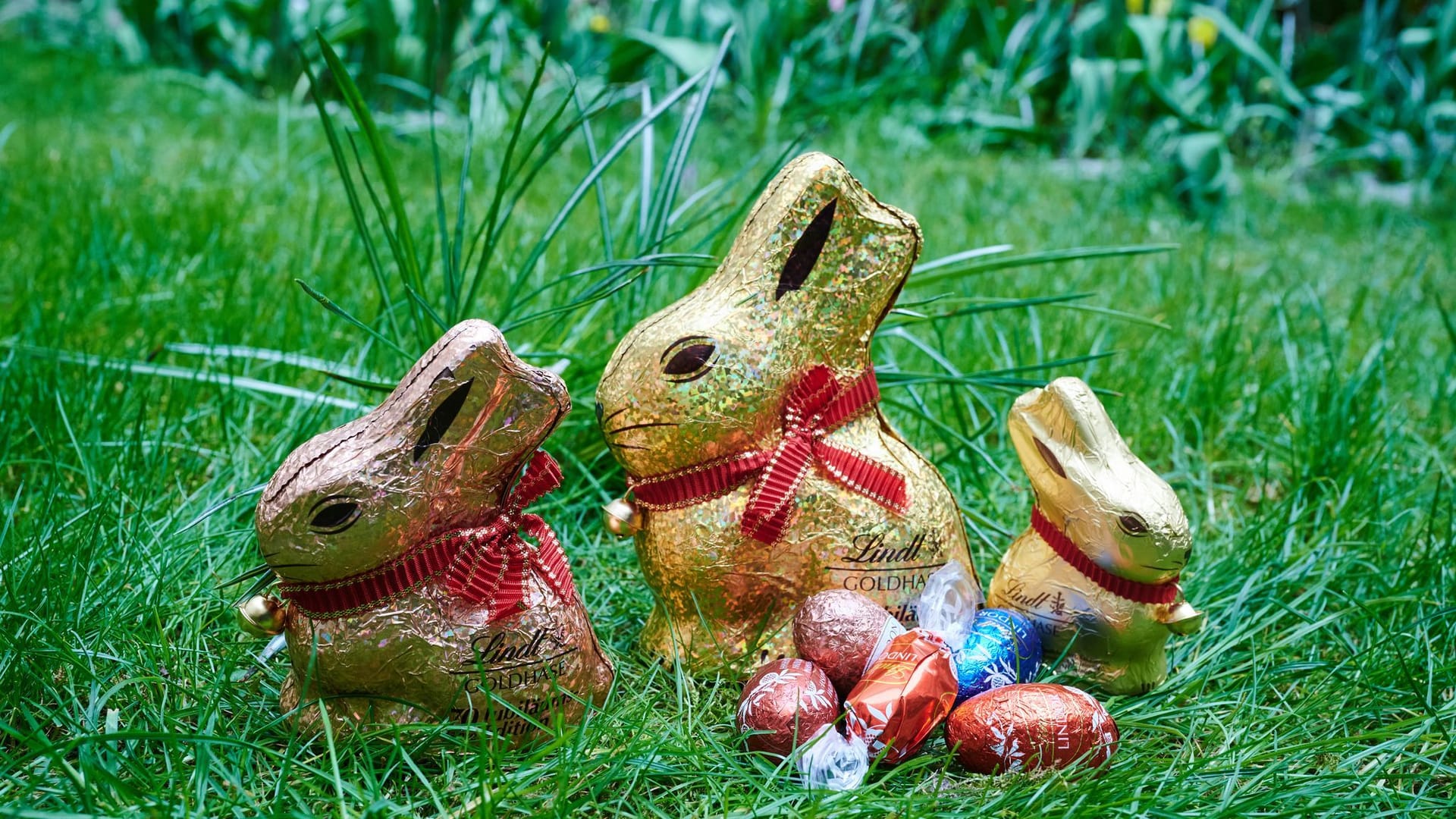 Osterhasen aus Schokolade