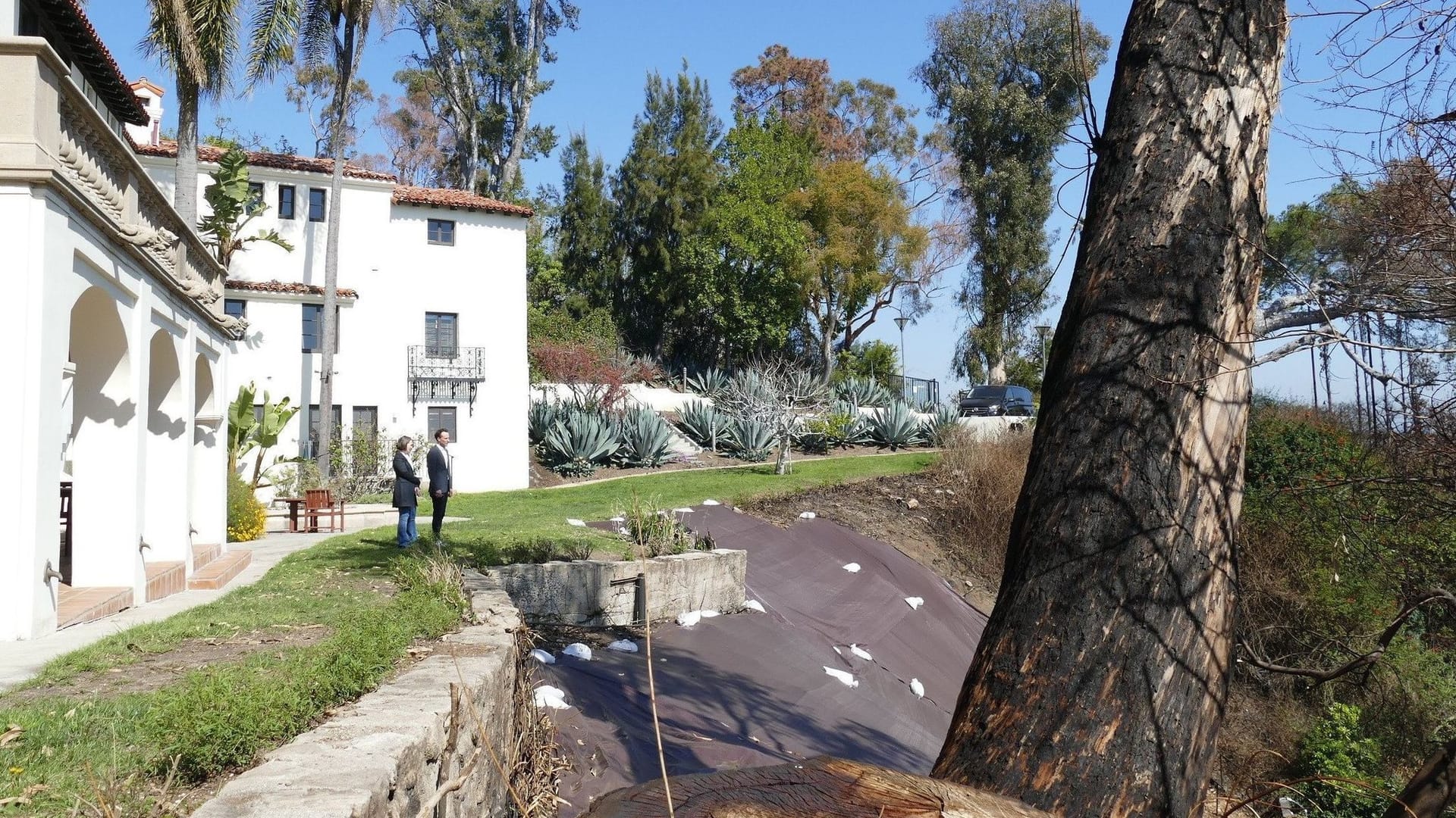 Nach den Feuern in Los Angeles: Pacific Palisades